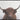 Highland Cattle Canvas Framed - Magasins Hart | Hart Stores