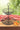 2-Tier Fruit Basket - Magasins Hart | Hart Stores