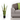 Yellow/Green Sansevieria Plant