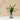 Plant White Cement Pot Wood Bases 48x35