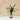 Plant White Cement Pot Wood Bases 48x35