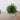 Grass Cement Pot With Grey Stripe 24x25