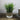Grass Cement Stitch Pot White Grey 20x22