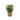 Eucalyptus Grass Basket