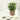Eucalyptus Grass Basket