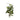 Green Banyan Leaf White Ceramic Pot
