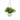 Fern White Ceramic Pot W/rope