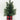 Xmas Pine Tree in Plaid Fabric Base Cup - Magasins Hart | Hart Stores