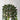 Artificial Hanging Pearl String in Ceramic Pot 61cm - Magasins Hart | Hart Stores