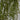 Artificial Hanging Pearl String in Ceramic Pot - Magasins Hart | Hart Stores