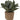 Artificial Lamb's Ear in Beige Cement Pot - Magasins Hart | Hart Stores