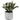 Artificial Lamb's Ear in White Marble Ceramic Pot - Magasins Hart | Hart Stores