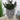 Artificial Succulent Plant in Buddha Head Cement Pot - Magasins Hart | Hart Stores
