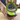 Avocado Cuber