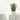 Tall Grass In Cement Leaf Pot 12.5*33