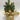 Xmas Mini Pine Tree | 5 LED 30 cm