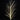 Xmas Tree White Branch