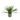 Grass Plant Cement Pot
