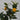 Lauren Taylor - Artificial Lemon Tree in Wicker Pot - Magasins Hart | Hart Stores