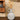 Lauren Taylor - White Ceramic Vase with Handles 23cm - Magasins Hart | Hart Stores