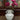 Lauren Taylor - White Ceramic Vase with Handles - Magasins Hart | Hart Stores