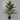 Lauren Taylor - Artificial Hawaii Palm Tree in Black Pot