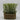 Lauren Taylor -Artificial Foliage in a Plastic Wicker Basket