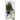 Le Spa - Diffuser With Plant And Black Rattan 100ml - Magasins Hart | Hart Stores