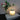 MEADOW GRASS IN LED JAR