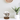MEADOW GRASS IN WOOD BASE