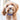 PAWS & WHISKERS - Dog Toys - Magasins Hart | Hart Stores