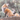 Fox Printed Canvas
