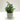 Lauren Taylor - Artificial Flowers in Cement Pot