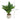 Plant In Geo Cement Pot