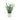 Eucalyptus Ceramic Pot White