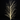 Xmas Tree White Branch