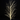 Xmas Tree White Branch