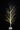 Xmas Tree White Branch