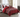 Lauren Taylor -VIVIENNE 6pcs Comforter Set