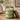 Ribbed Glass Scented Candle with Wooden Lid - Magasins Hart | Hart Stores