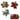 13cm Glitter Pine Pick with Berry/Pinecone, 3 Assorted (Red, Gold, Silver) – PDQ Display - Magasins Hart | Hart Stores