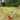Wooden Croquet Game Set 