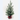 Xmas Snowy Pine Tree with Plaid Fabric Base - Magasins Hart | Hart Stores