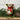 Red Heart With Love Mallard - Magasins Hart | Hart Stores
