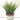 Artificial Green Plant in Cement Pot | Wood Look 12 x 24 cm - Magasins Hart | Hart Stores