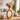 Natural Wood Decorative Bud Vase – 20 x 6 x 45 cm