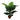 Dieffenbachia Artificial Plant - Magasins Hart | Hart Stores