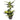 Dieffenbachia Dotti Artificial Plant - Magasins Hart | Hart Stores