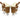 TORINO - Set of 4 Irish Coffee Mugs - Magasins Hart | Hart Stores