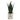 Aloe Succulant in Maison Pot - Magasins Hart | Hart Stores